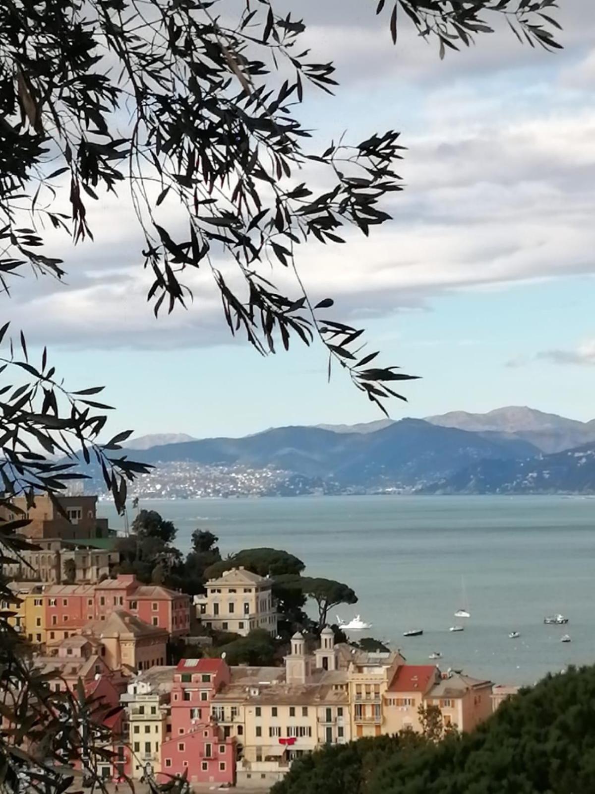 Silent Bay Apartments Sestri Levante Exterior foto